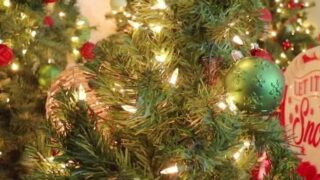 Rose Kelly Christmas Lingerie Ass Spread Video Leaked
