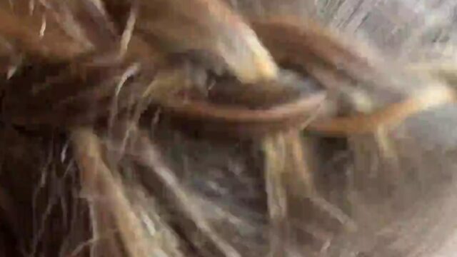Rosi Karter OF BGG Threesome Sex Tape Video Leaked